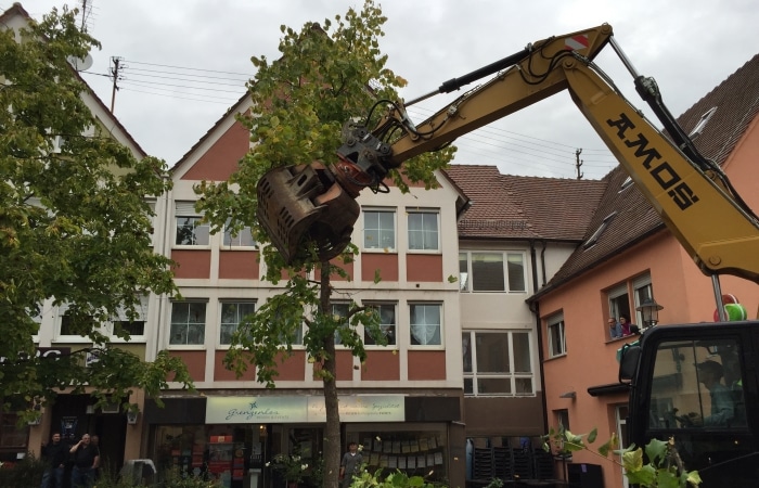 Tief- und Straßenbau Innenstadtsanierung Bönnigheim