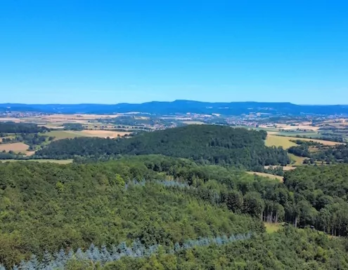 Unsere Waldbotschaft