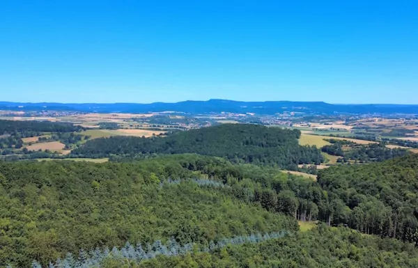Unsere Waldbotschaft