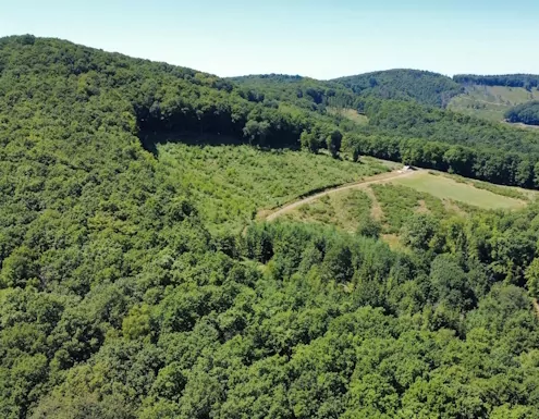 Unsere Waldbotschaft