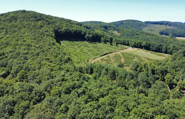 Unsere Waldbotschaft